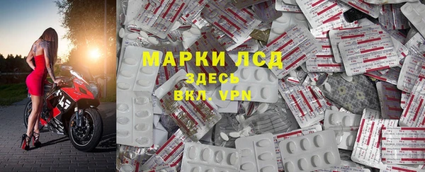трава Белокуриха