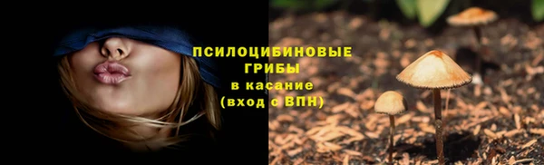 дживик Балахна