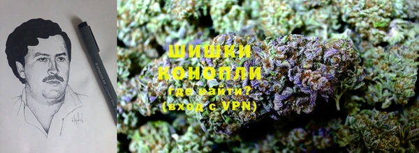 трава Белокуриха