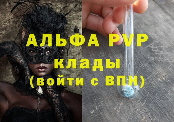 трава Белокуриха