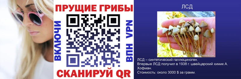 Псилоцибиновые грибы ЛСД  Сегежа 