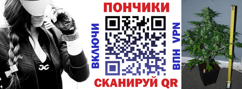 Конопля планчик  Сегежа 